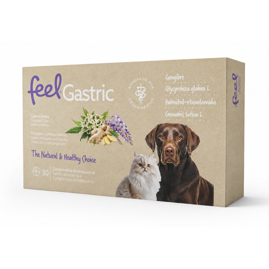 Feel Gastric