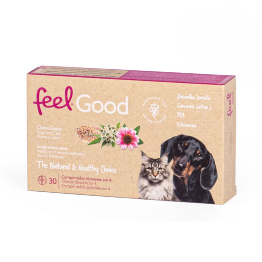 Feel Good