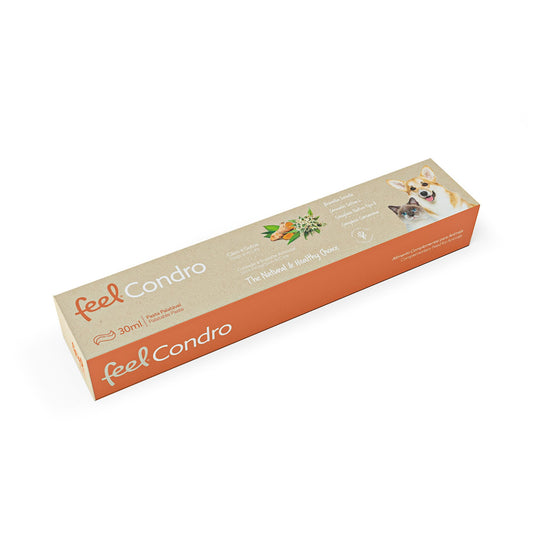 Feel Condro Pasta