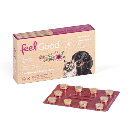 Feel Good