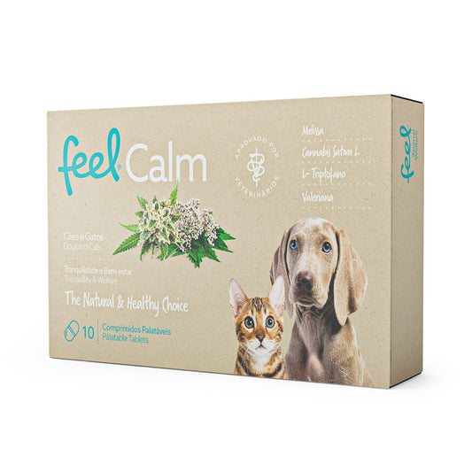Feel Calm