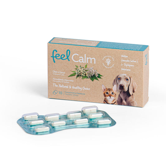 Feel Calm