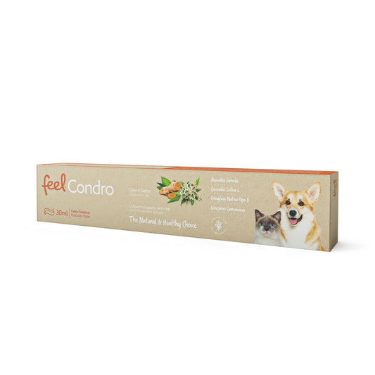 Feel Condro Pasta