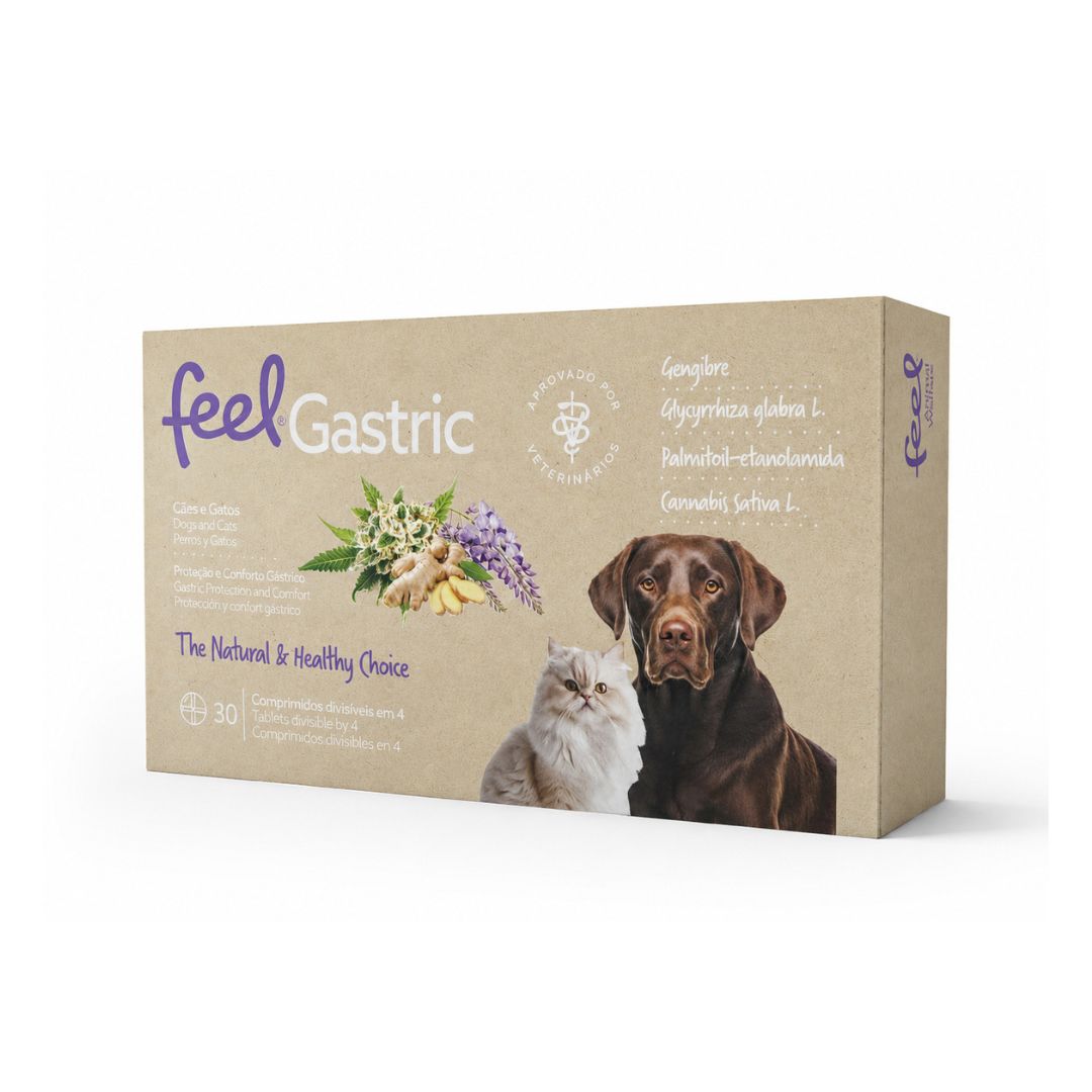 Feel Gastric