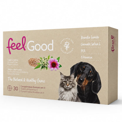 Feel Good