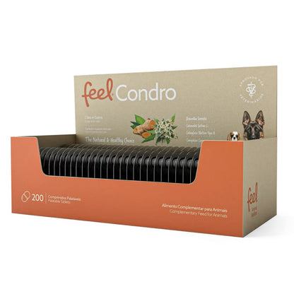 Feel Condro