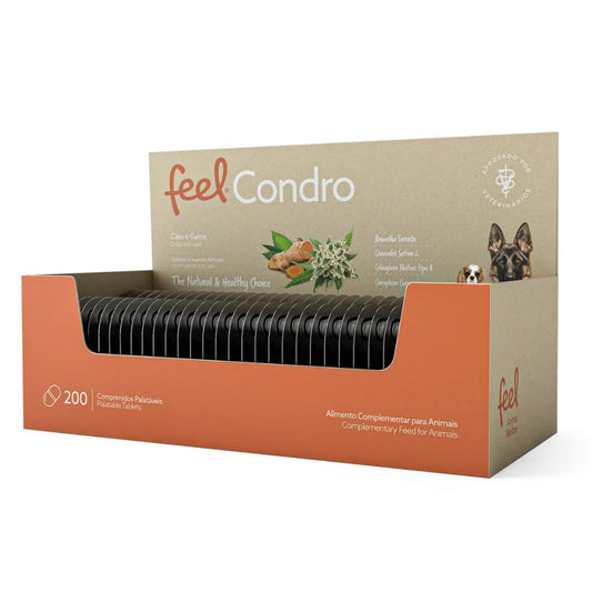 Feel Condro