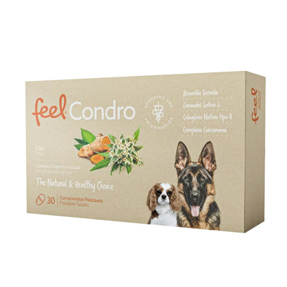 Feel Condro