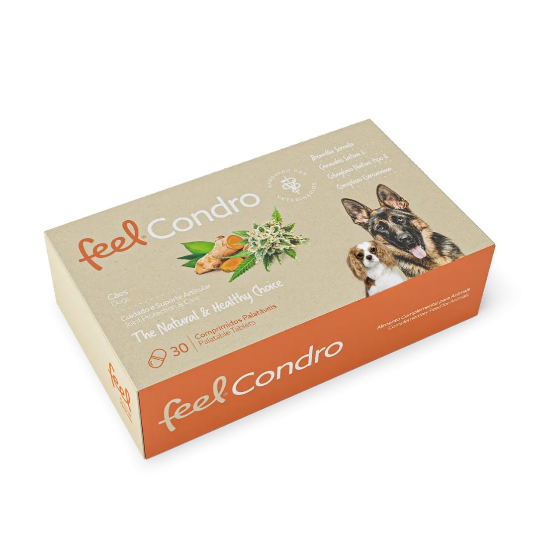 Feel Condro