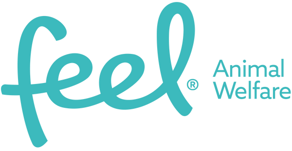Feel Animal Welfare